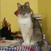Отзыв от Прасковья Ткачева